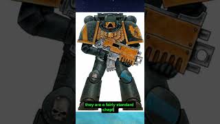 Obscure Space Marine Chapter The Hammers of Dorn spacemarines warhammer40k imperialfists [upl. by Una]