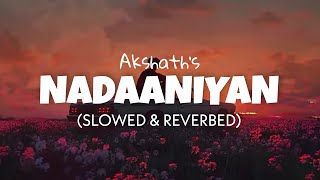 Nadaaniyan Slowed  Reverb  Akshath  Lofi edits 2024  Kaise tu muskuraaye [upl. by Ecienaj423]