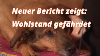 Neuer Bericht zeigt Wohlstand gefährdet [upl. by Bette428]