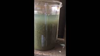 COAGULATION OF WASTE WATER WITH FERROUS SULPHATE [upl. by Sullivan]