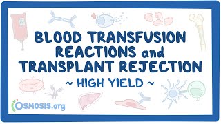 Blood transfusion reactions and transplant rejection Pathology Review [upl. by Valley]