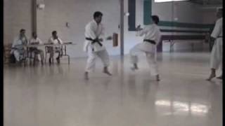 karate black belt exam of the Shotokan SKIF created by Hirokazu Kanazawa a living legend [upl. by Croix]