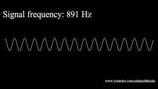 20Hz to 20kHz Human Audio Spectrum [upl. by Cori986]