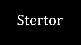 How to pronounce Stertor [upl. by Jevon]