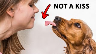 The Real Reason Dogs Lick You Is Disgusting [upl. by Nabi]