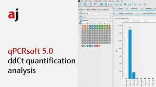 4 qPCRsoft 50 – ddCt quantification analysis [upl. by Rotberg]