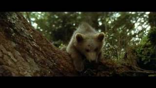 lours de jean jacques annaud [upl. by Enail]