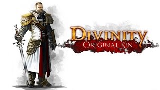 Divinity Original Sin  Vale ou não a pena jogar [upl. by Ulah688]