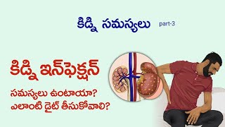 Kidney Infection  Causes Signs and Symptoms Diagnosis and Treatment  Nephrology  Dr Saikanth [upl. by Reyem]