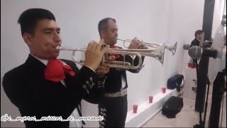 Trompetistas Del Vargas y San Francisco  Agustín y Alejandro 🎺🎺🔥🔥 [upl. by Aztilem]