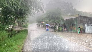 HEAVY Rain and Thunderstorms in the Beauty Village Red soil  ASMR 99 Wind Rain to Cure Insomnia [upl. by Jollenta]