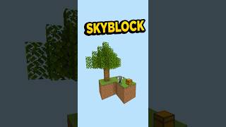 SKYBLOCK en PROBLEMAS [upl. by Llenral]