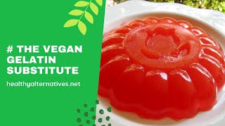 The Vegan Gelatin Substitute [upl. by Eillod]