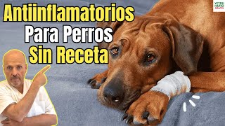 🤩 MEJORES ANTIINFLAMATORIOS PARA PERROS SIN RECETA 🤩 [upl. by Glynis]