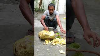 Bhola Ripe jackfruit is the taste [upl. by Claiborn]