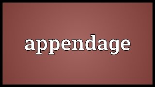 Appendage Meaning [upl. by Aneehsyt]