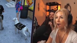 Alinity pets a dog [upl. by Noslien172]