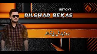 dilshad bekas  bêtoyi 2024 [upl. by Strawn]