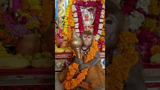 Mangalam moorth Ram Dulare Jay Bajrangbali short videobalaji [upl. by Akira]