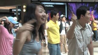 The Worlds Most Shocking Flashmob [upl. by Brand]