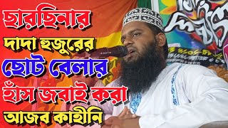 দাদা হুজুরের জীবনি। আব্দুর রহিম বানারীপাড়া বরিশাল। Bangla waz new waz ওয়াজ মাহফিল [upl. by Maretz988]