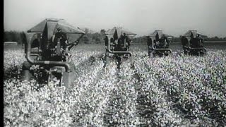 HD Historic Archival Stock Footage Cotton Picking Machines [upl. by Ettenav]