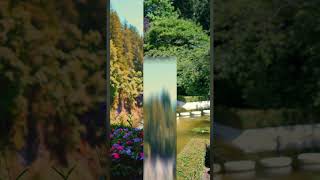 Experience the BEST of Victoria at Butchart Gardens ButchartGardens [upl. by Harelda844]