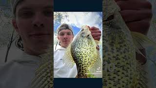 Fishbrain viral fishing viralvideo bassfishing fish [upl. by Oigroeg]