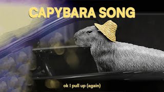 ok I pull up again  capybara song [upl. by Reginald648]