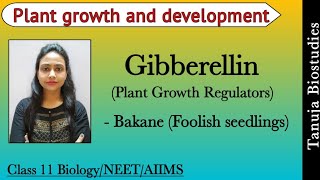 Plant Growth Regulators  Gibberellins Bakane Foolish seedlings Disease  11th BiologyNEETAIIMS [upl. by Enillebyam]