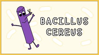 Bacillus cereus Simplified Morphology Types Symptoms Treatment [upl. by Anuat]