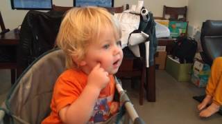 Two year old has an argument with Amazon Alexa [upl. by Madaras]