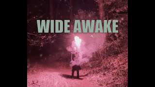 Wide Awake Jaimes  Alan Wake 2 OST [upl. by Nett]