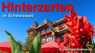 Hinterzarten im Schwarzwald [upl. by Weber]