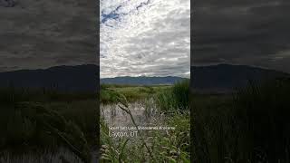 Great Salt Lake Shorelands Sky [upl. by Nilreb]