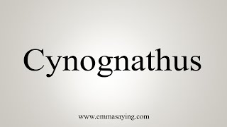 How To Say Cynognathus [upl. by Yahsed]