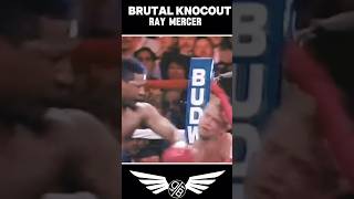 BRUTAL KNOCOUT ll Ray Mercer VS Tommy Morrison [upl. by Eletnahs866]