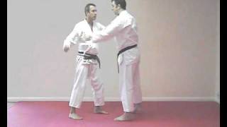 Bassai Dai kata bunkai  practical application [upl. by Meagan]