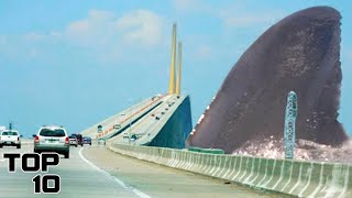 Top 10 Megalodon Sightings That Are Too REAL To Ignore [upl. by Uzziel479]