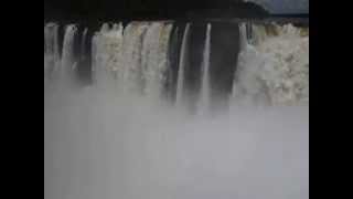 Cataratas del Iguazú  Vencejos [upl. by Gleda]