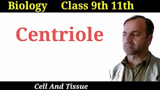 Centrioles  structure and function of centrioles  Class 9 and 11  Cell organelles [upl. by Cheston]