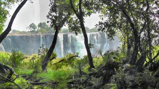 Victoria Falls early October 2017 [upl. by Isaak]