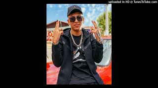 JORDAN 23 x JULIANNO SOSA Type beat quotPERREO PORKYquot  Beat de Reggaeton Perreo Chileno [upl. by Searby361]