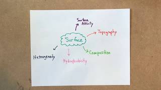 Protein Adsorption to Biomaterial Surfaces and Vroman Effect [upl. by Evelin]