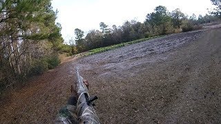 Deer Dog Drives 2017 26 Dec 2017 Runnin and Gunnin [upl. by Zannini]