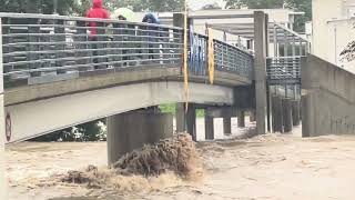 Unwetter St Pölten 15092024 Hochwasser Traisen auf Höhe Regierungsviertel [upl. by Kwasi891]