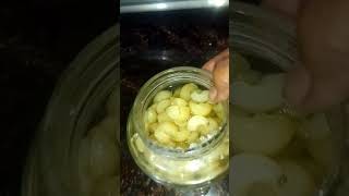 Amla ki candy 🍬 amlakicandy shortvideo newcook newrecipe [upl. by Dnalyaw]