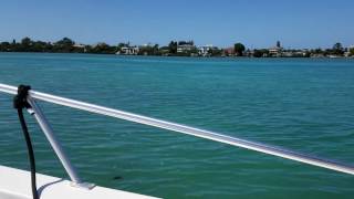 2004 Twin Vee Catamarans Power Cat Bay Cat 19 for Sale in Venice Fl [upl. by Angelina]