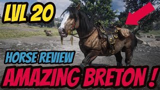 LEVEL 20 BRETON IS AMAZING  Red Dead Online [upl. by Siulesoj]