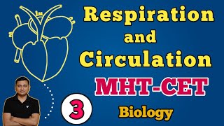 Respiration and Circulation  Part 3  MHTCET  Digambar Mali [upl. by Nagrom]